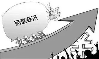 三亚优化营商环境，助力民营经济加快发展社会经济咨询服务